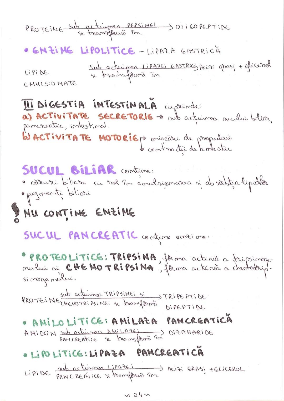 # SEGMENTELE CORPULUI
# UMAN
I CAP - alcătuit din → NEUROCRANIU
                         → VISCEROCRANIU
II GÂT
III TRUNCHI format din → TOR
