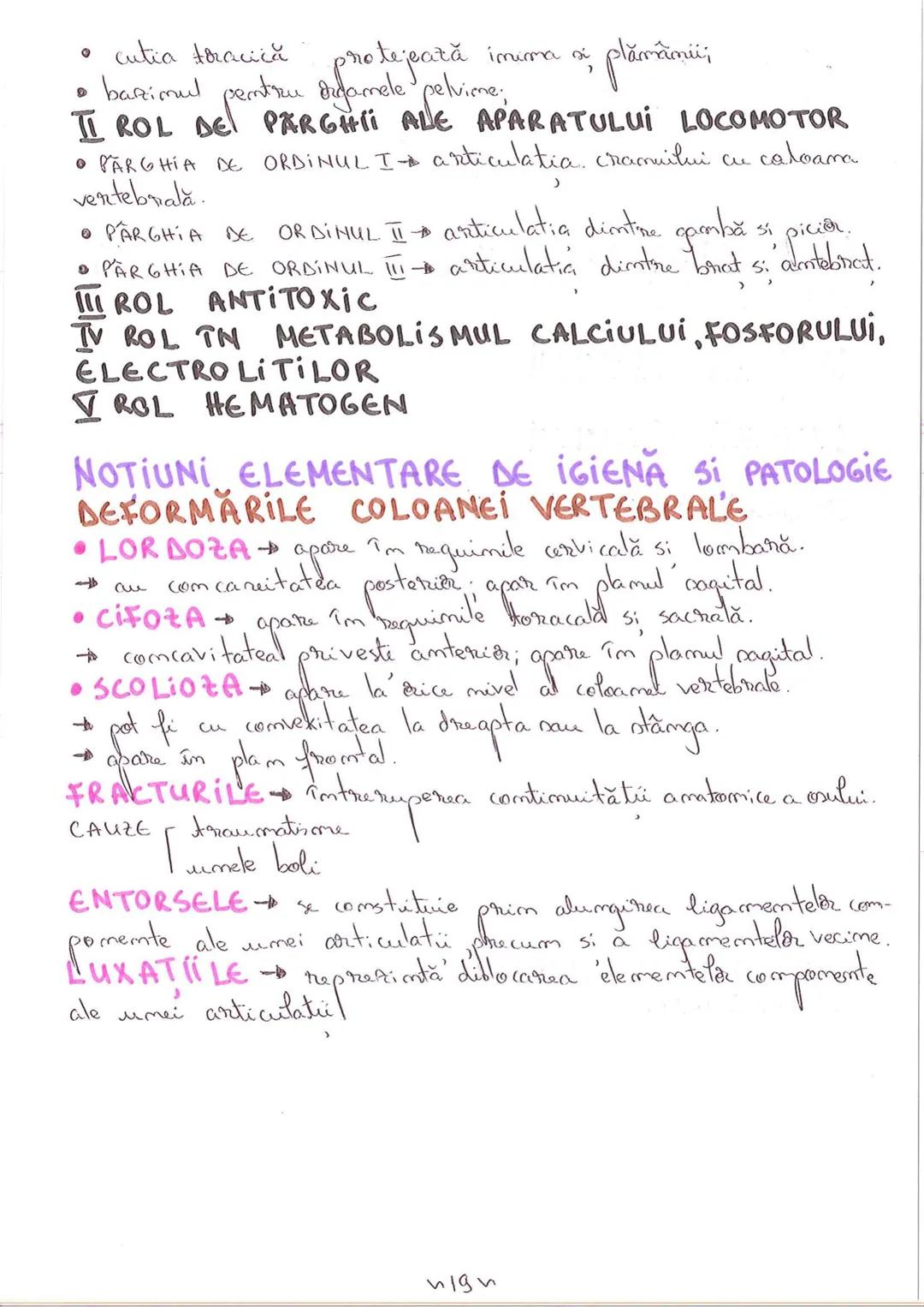 # SEGMENTELE CORPULUI
# UMAN
I CAP - alcătuit din → NEUROCRANIU
                         → VISCEROCRANIU
II GÂT
III TRUNCHI format din → TOR