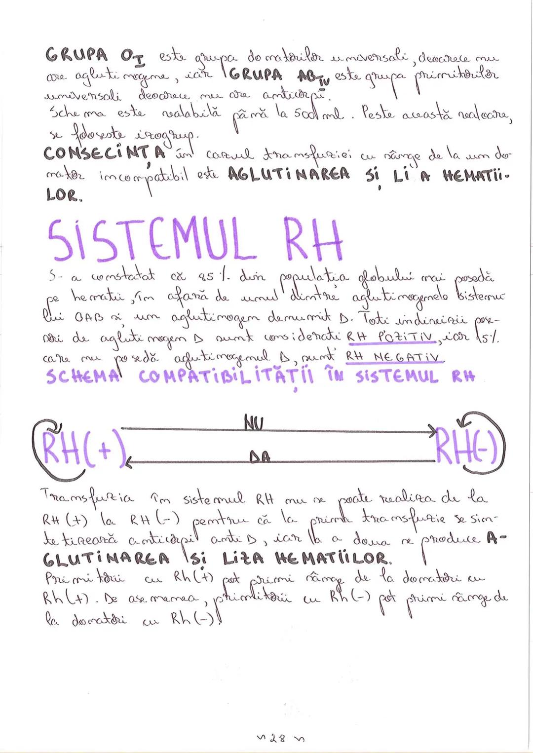 # SEGMENTELE CORPULUI
# UMAN
I CAP - alcătuit din → NEUROCRANIU
                         → VISCEROCRANIU
II GÂT
III TRUNCHI format din → TOR