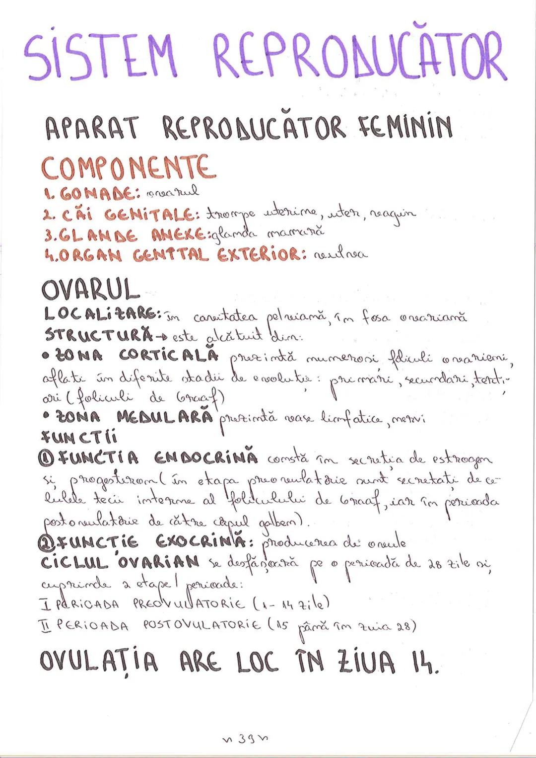 # SEGMENTELE CORPULUI
# UMAN
I CAP - alcătuit din → NEUROCRANIU
                         → VISCEROCRANIU
II GÂT
III TRUNCHI format din → TOR