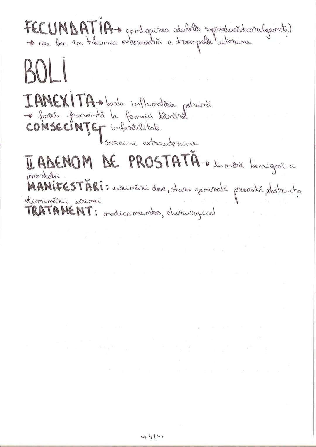# SEGMENTELE CORPULUI
# UMAN
I CAP - alcătuit din → NEUROCRANIU
                         → VISCEROCRANIU
II GÂT
III TRUNCHI format din → TOR