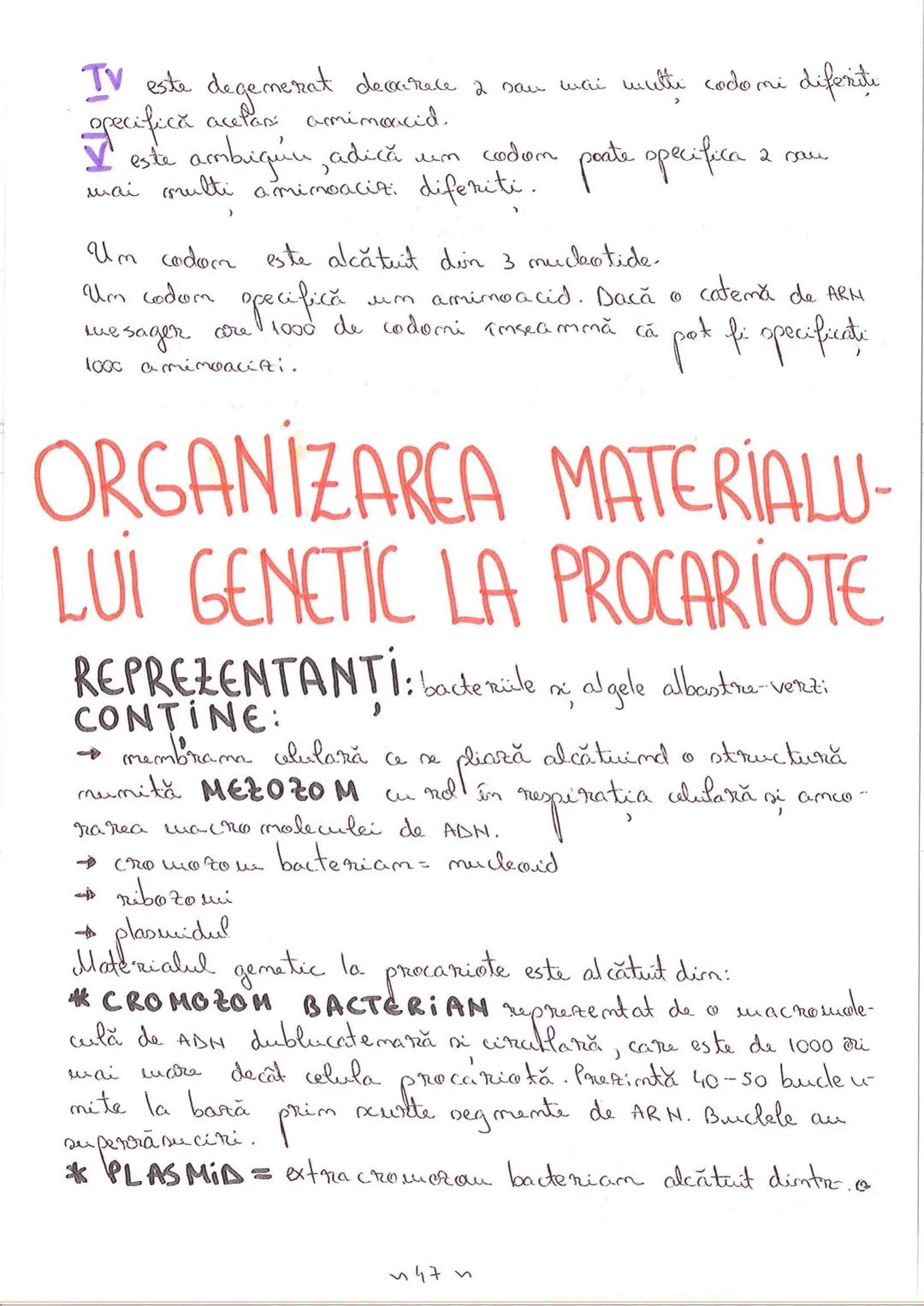# SEGMENTELE CORPULUI
# UMAN
I CAP - alcătuit din → NEUROCRANIU
                         → VISCEROCRANIU
II GÂT
III TRUNCHI format din → TOR