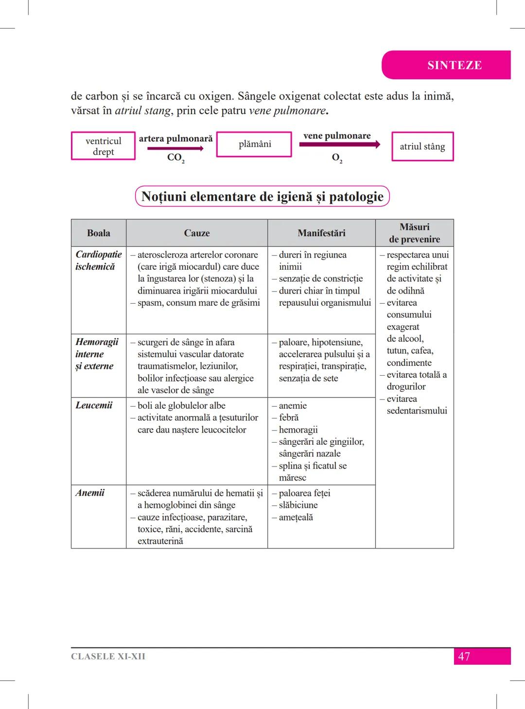 Mariana Drumea
Ramona A. Morar
Ramona O. Morar
BIOLOGIE – ANATOMIE ȘI
FIZIOLOGIE UMANĂ, GENETICĂ
ȘI ECOLOGIE UMANĂ
Ghid de pregătire
pentru
