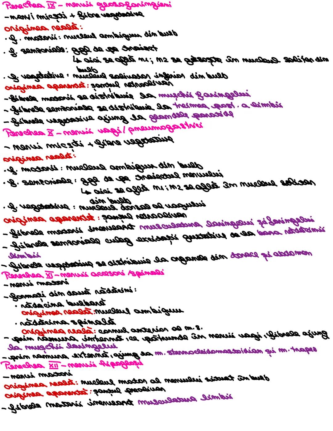 # SISTEMUL NERUOS
Sistemul nervos, împreuna cu sistemul endocrin, reglează
majoritatea funcţiilor organismului. SN are rol în special în reg