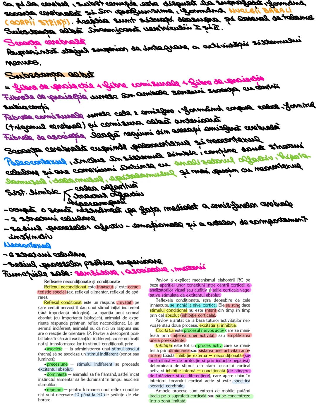# SISTEMUL NERUOS
Sistemul nervos, împreuna cu sistemul endocrin, reglează
majoritatea funcţiilor organismului. SN are rol în special în reg