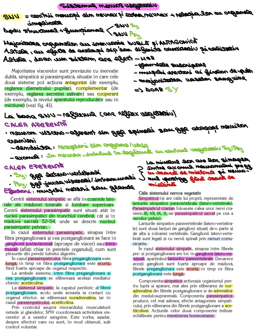 # SISTEMUL NERUOS
Sistemul nervos, împreuna cu sistemul endocrin, reglează
majoritatea funcţiilor organismului. SN are rol în special în reg