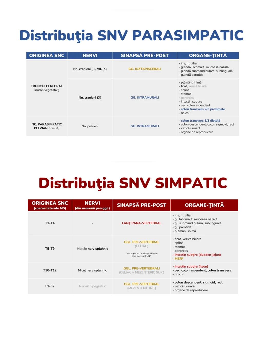 # SISTEMUL NERUOS
Sistemul nervos, împreuna cu sistemul endocrin, reglează
majoritatea funcţiilor organismului. SN are rol în special în reg