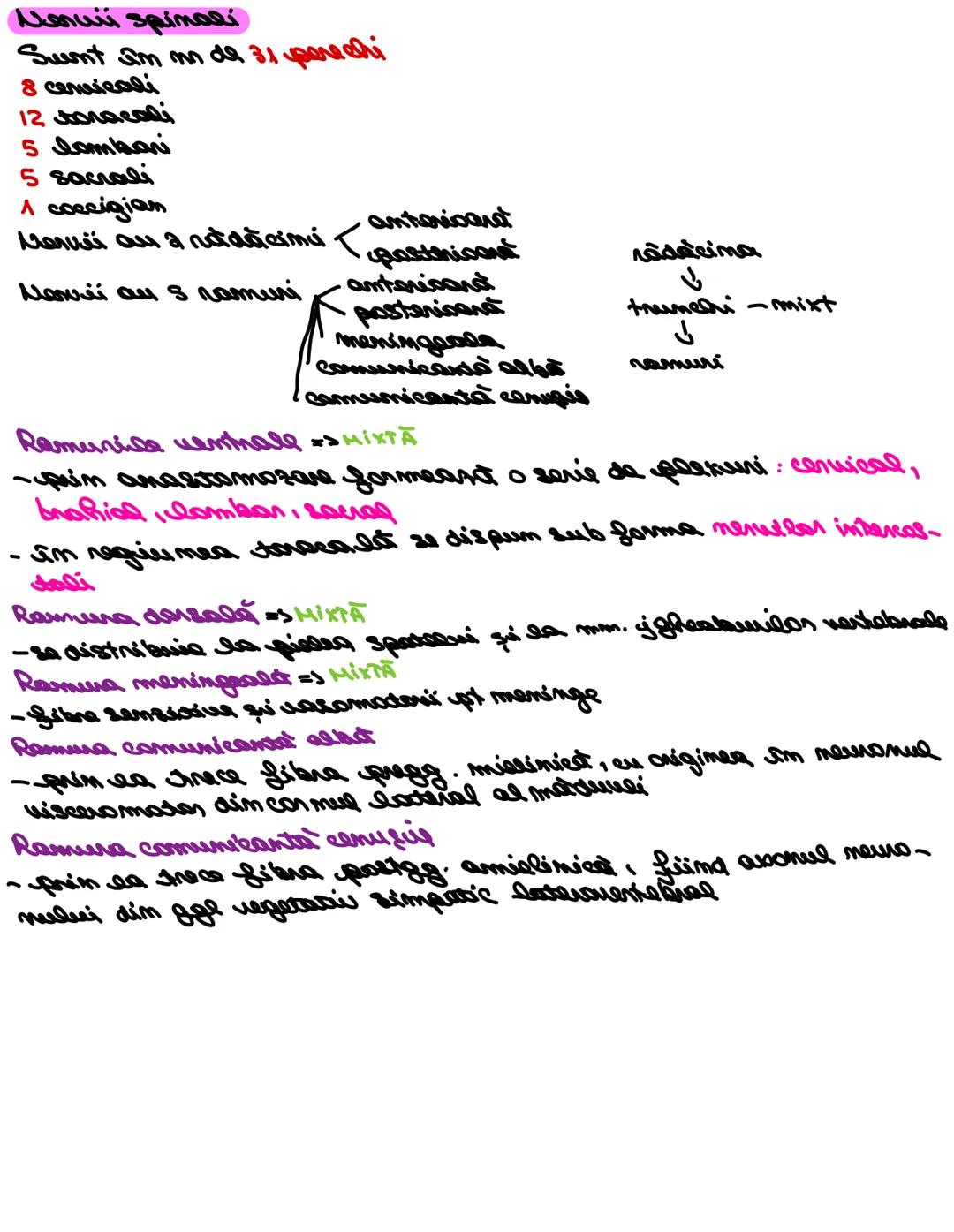 # SISTEMUL NERUOS
Sistemul nervos, împreuna cu sistemul endocrin, reglează
majoritatea funcţiilor organismului. SN are rol în special în reg