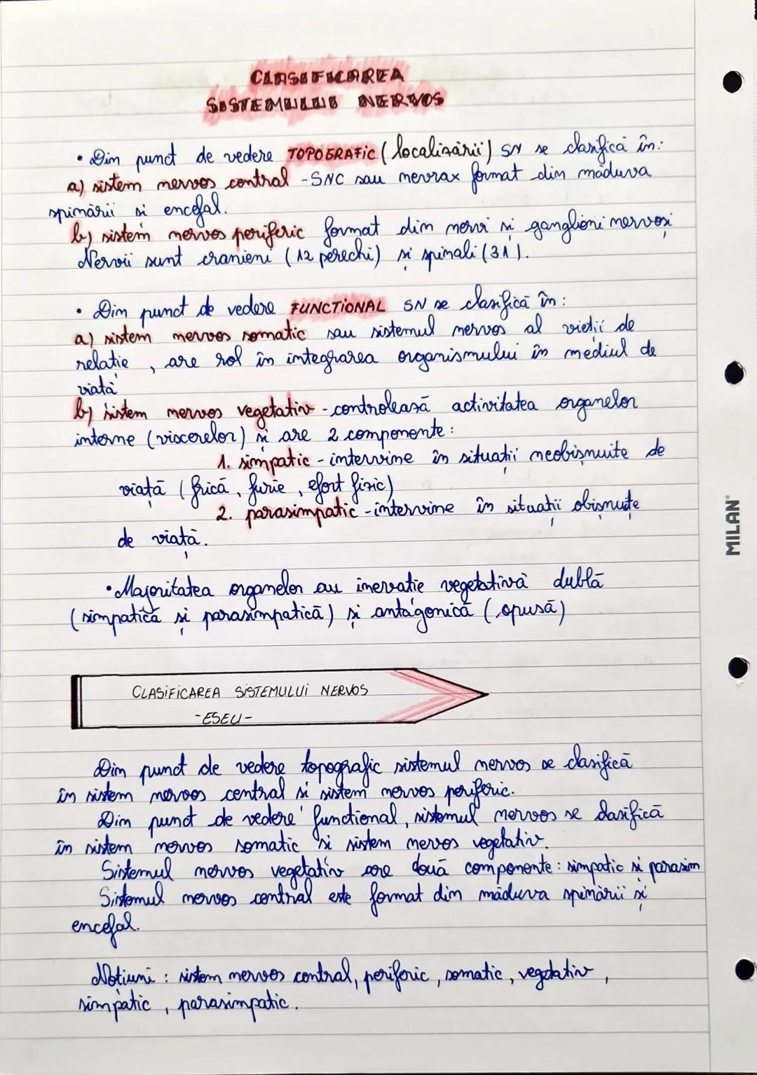--- OCR Start ---
CLASIFICAREA
SISTEMILUI NERVOS
• Din punct de vedere TOPOGRAFIC (localizarii) SN se clasifică în:
a) sistem nervos central