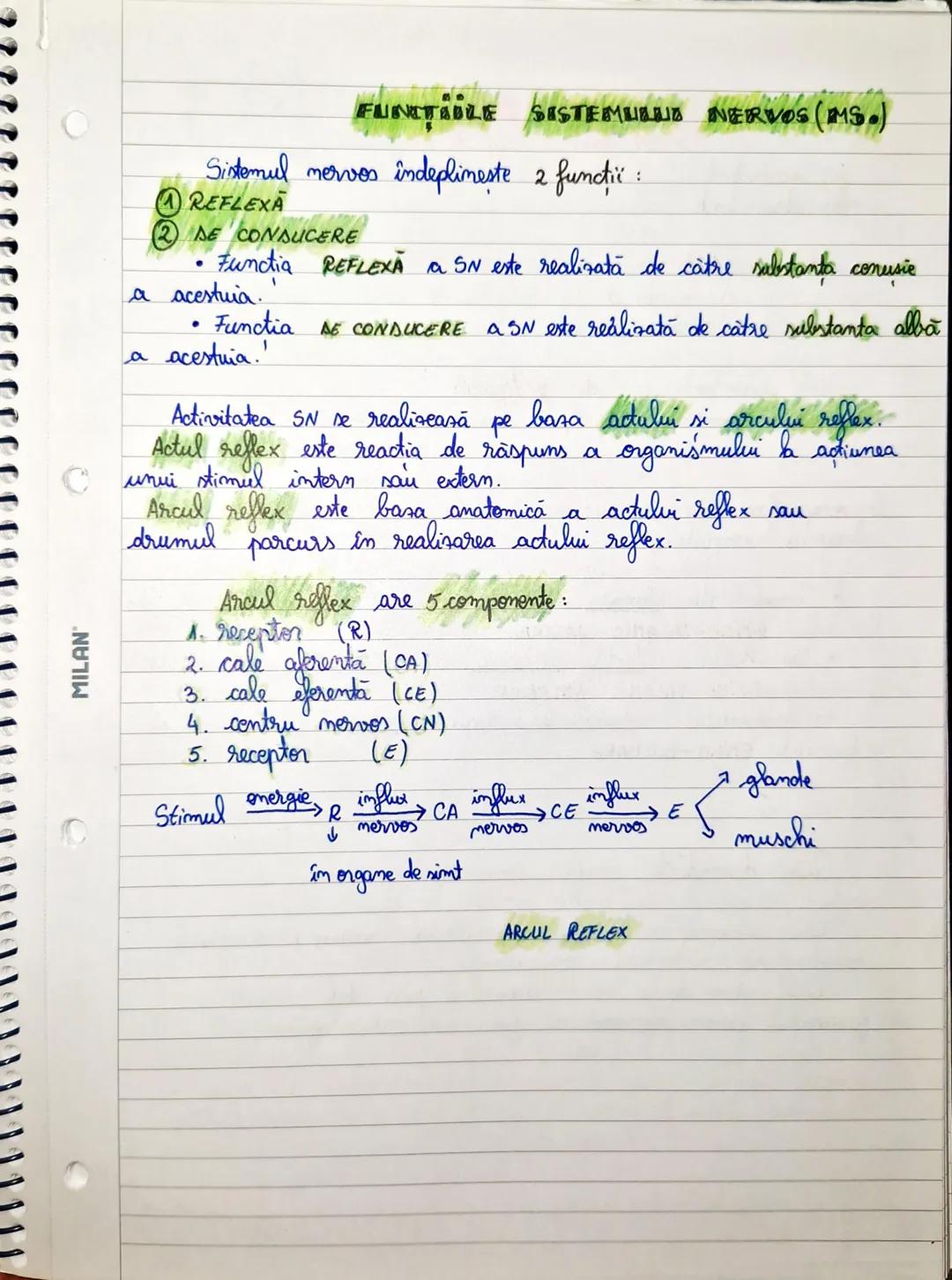 --- OCR Start ---
CLASIFICAREA
SISTEMILUI NERVOS
• Din punct de vedere TOPOGRAFIC (localizarii) SN se clasifică în:
a) sistem nervos central