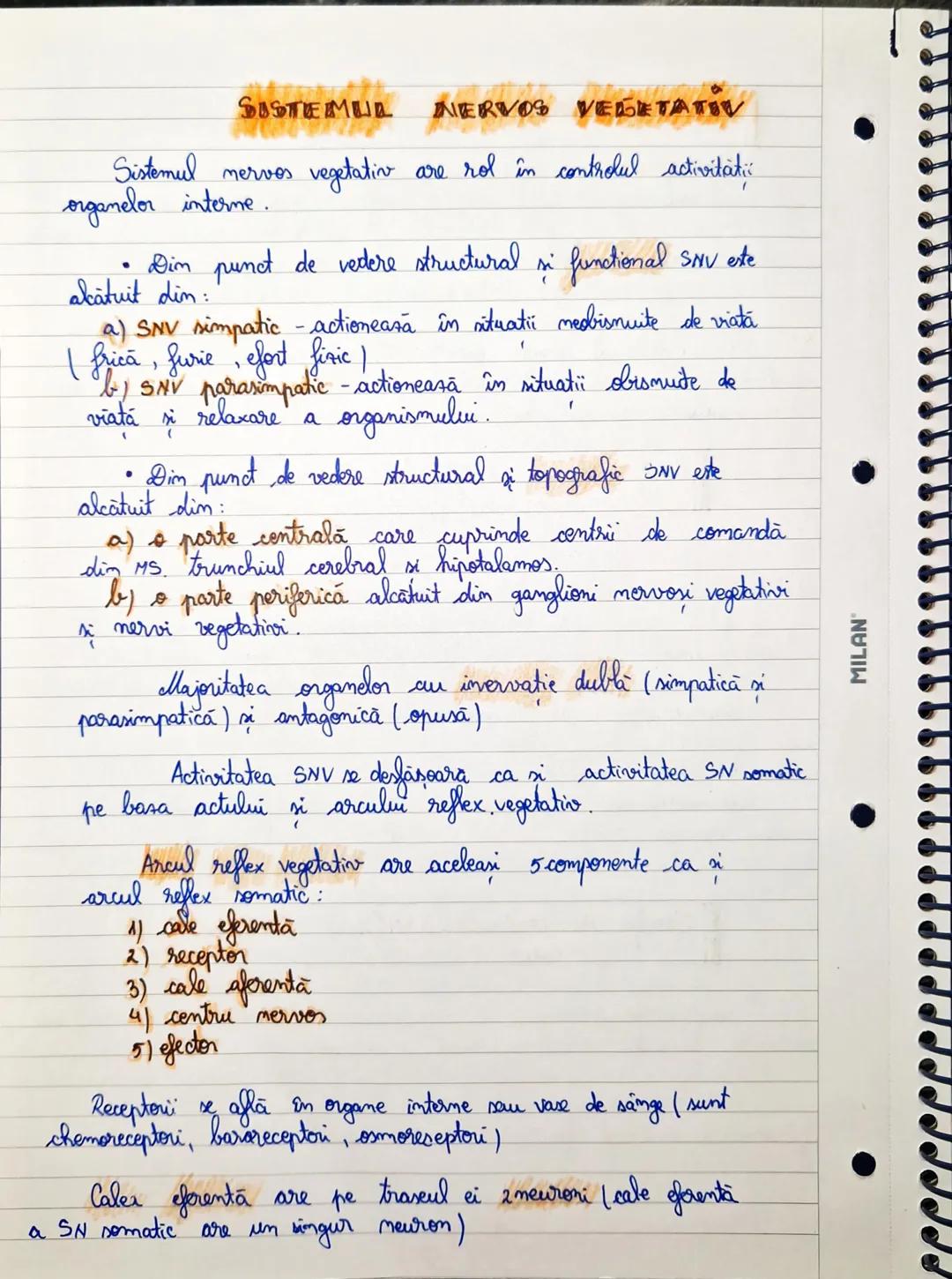 --- OCR Start ---
CLASIFICAREA
SISTEMILUI NERVOS
• Din punct de vedere TOPOGRAFIC (localizarii) SN se clasifică în:
a) sistem nervos central