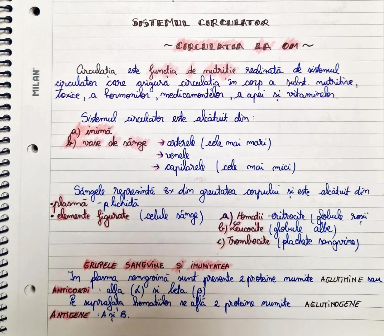 # 3 Cordul: vedere anterioară
Pericardul (margine de secțiune) la locul de
reflectare la nivelul vaselor mari
Nervul vag drept
Vena jugular