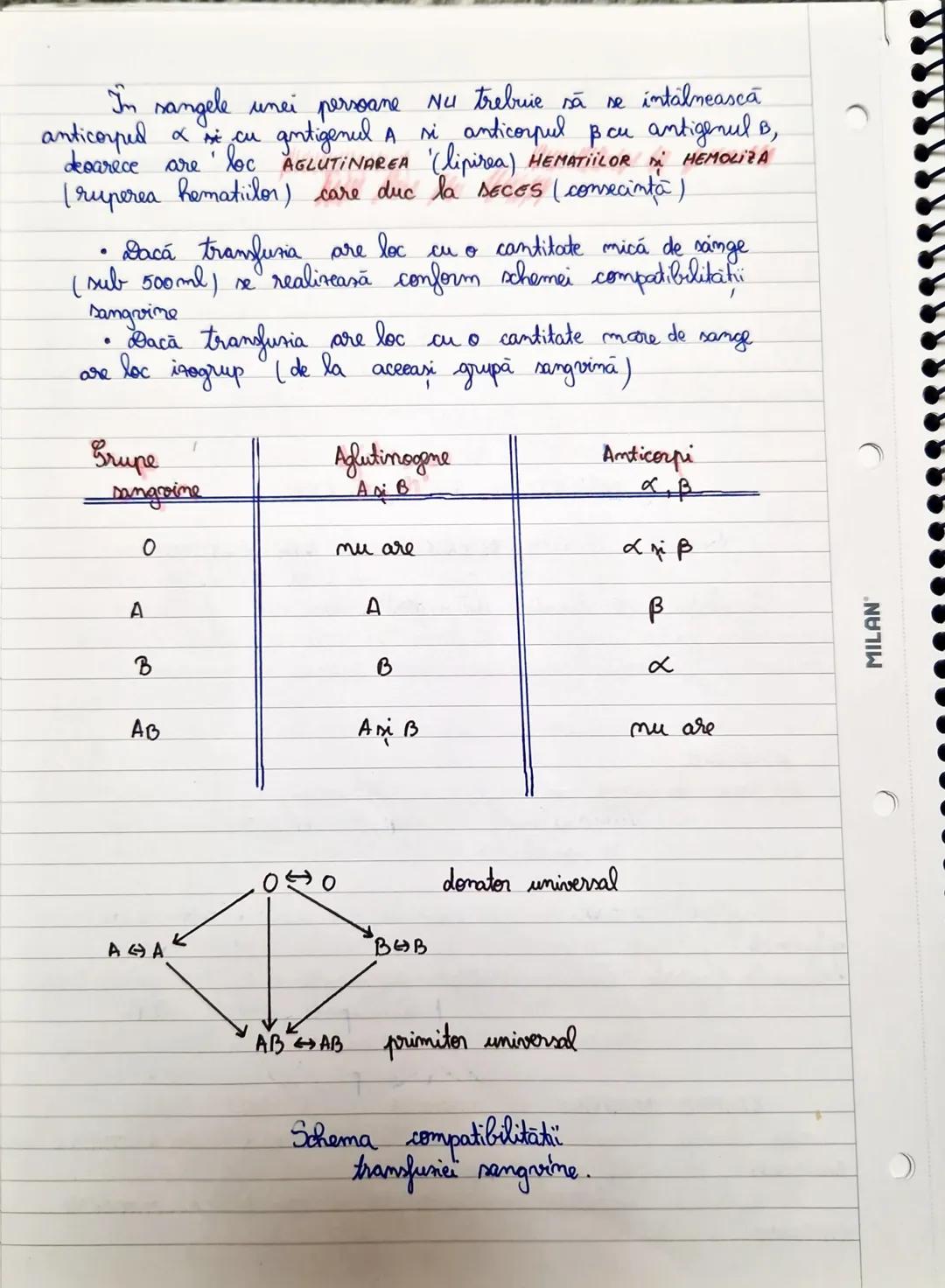 # 3 Cordul: vedere anterioară
Pericardul (margine de secțiune) la locul de
reflectare la nivelul vaselor mari
Nervul vag drept
Vena jugular