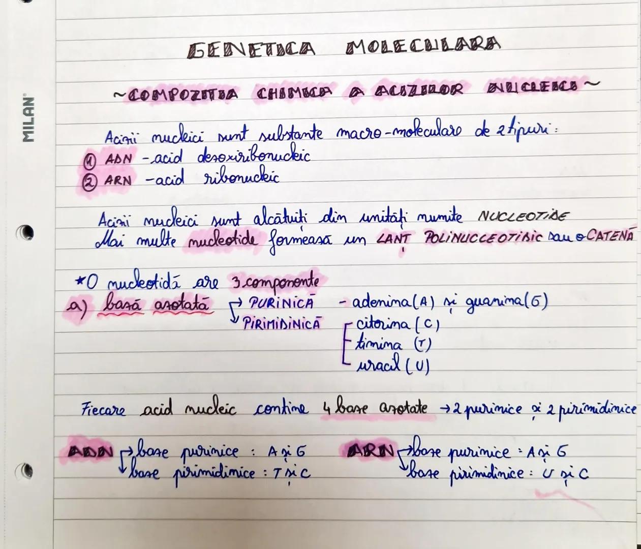 MILAN
БЕЛЕТЬСA MOLECRILARA
~COMPOZITIA CHEMICA A ACUZZILOR DULESCO ~
Acizni muckici sunt substante macro-moleculare de ztipuri:
@ADN-acid de