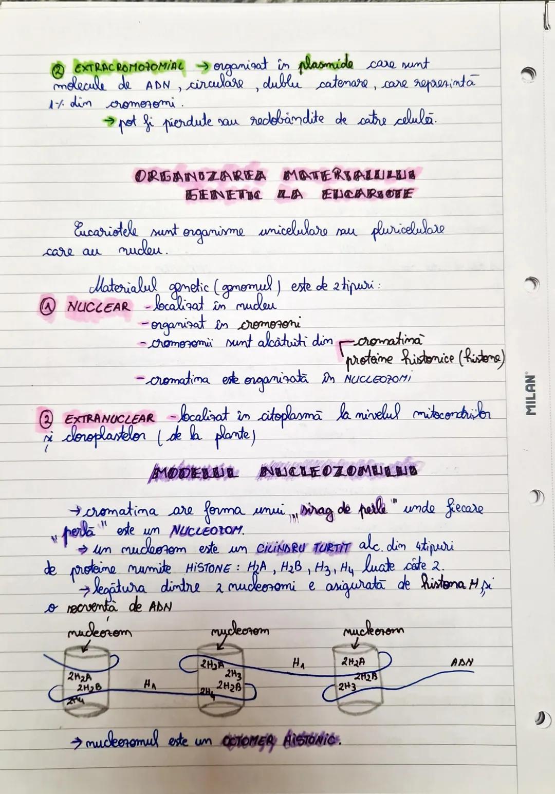 MILAN
БЕЛЕТЬСA MOLECRILARA
~COMPOZITIA CHEMICA A ACUZZILOR DULESCO ~
Acizni muckici sunt substante macro-moleculare de ztipuri:
@ADN-acid de