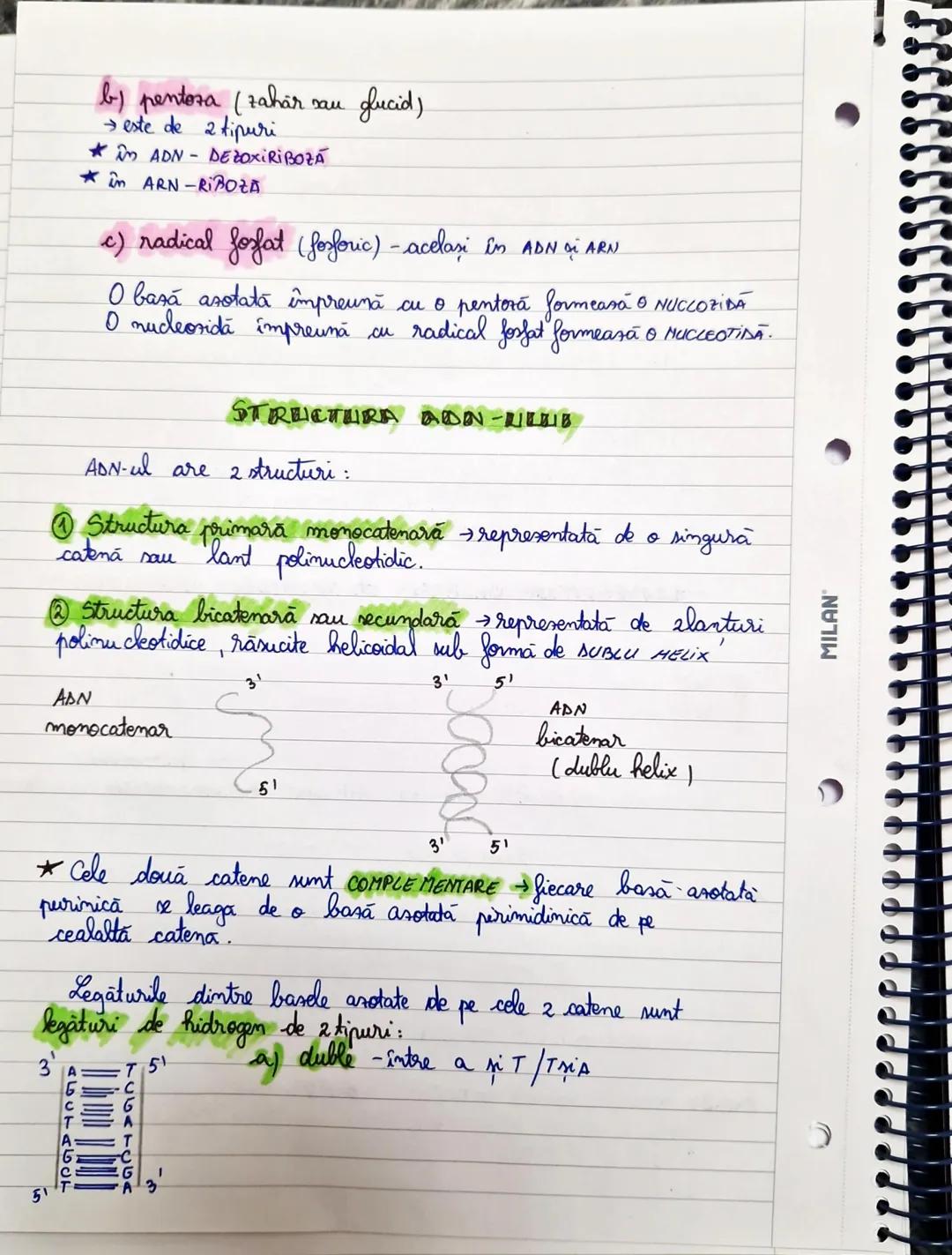 MILAN
БЕЛЕТЬСA MOLECRILARA
~COMPOZITIA CHEMICA A ACUZZILOR DULESCO ~
Acizni muckici sunt substante macro-moleculare de ztipuri:
@ADN-acid de