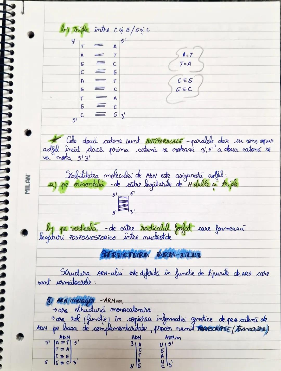 MILAN
БЕЛЕТЬСA MOLECRILARA
~COMPOZITIA CHEMICA A ACUZZILOR DULESCO ~
Acizni muckici sunt substante macro-moleculare de ztipuri:
@ADN-acid de
