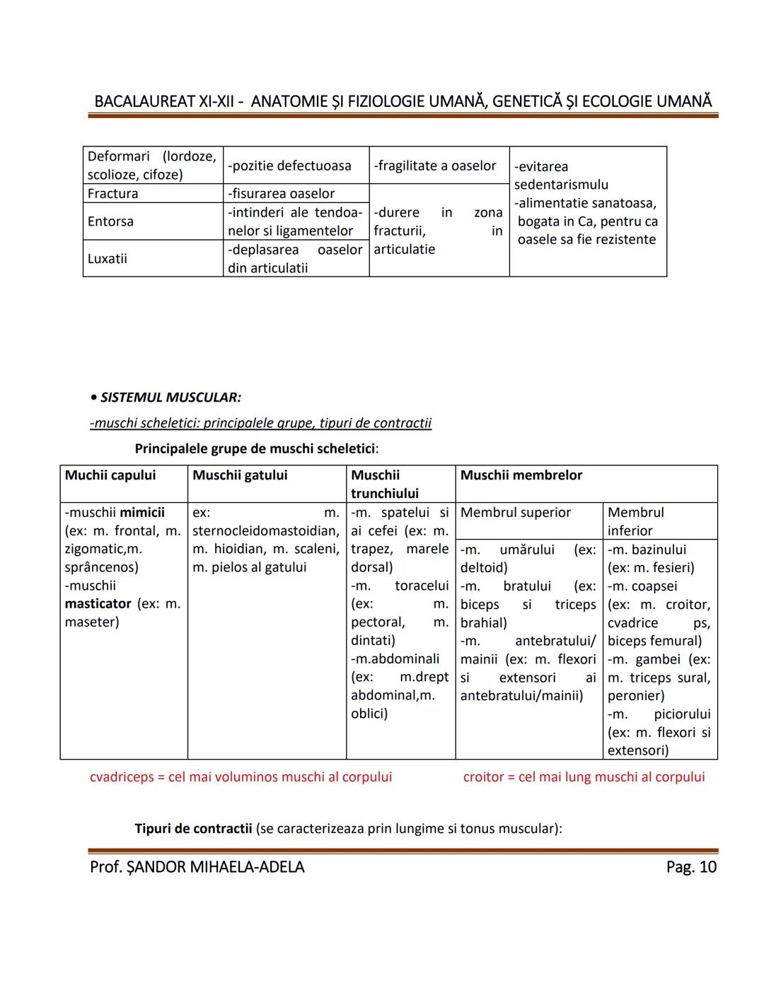 --- OCR Start ---
BACALAUREAT XI-XII - ANATOMIE ȘI FIZIOLOGIE UMANĂ, GENETICĂ ȘI ECOLOGIE UMANĂ
1. Alcătuirea corpului uman:
-topografia org