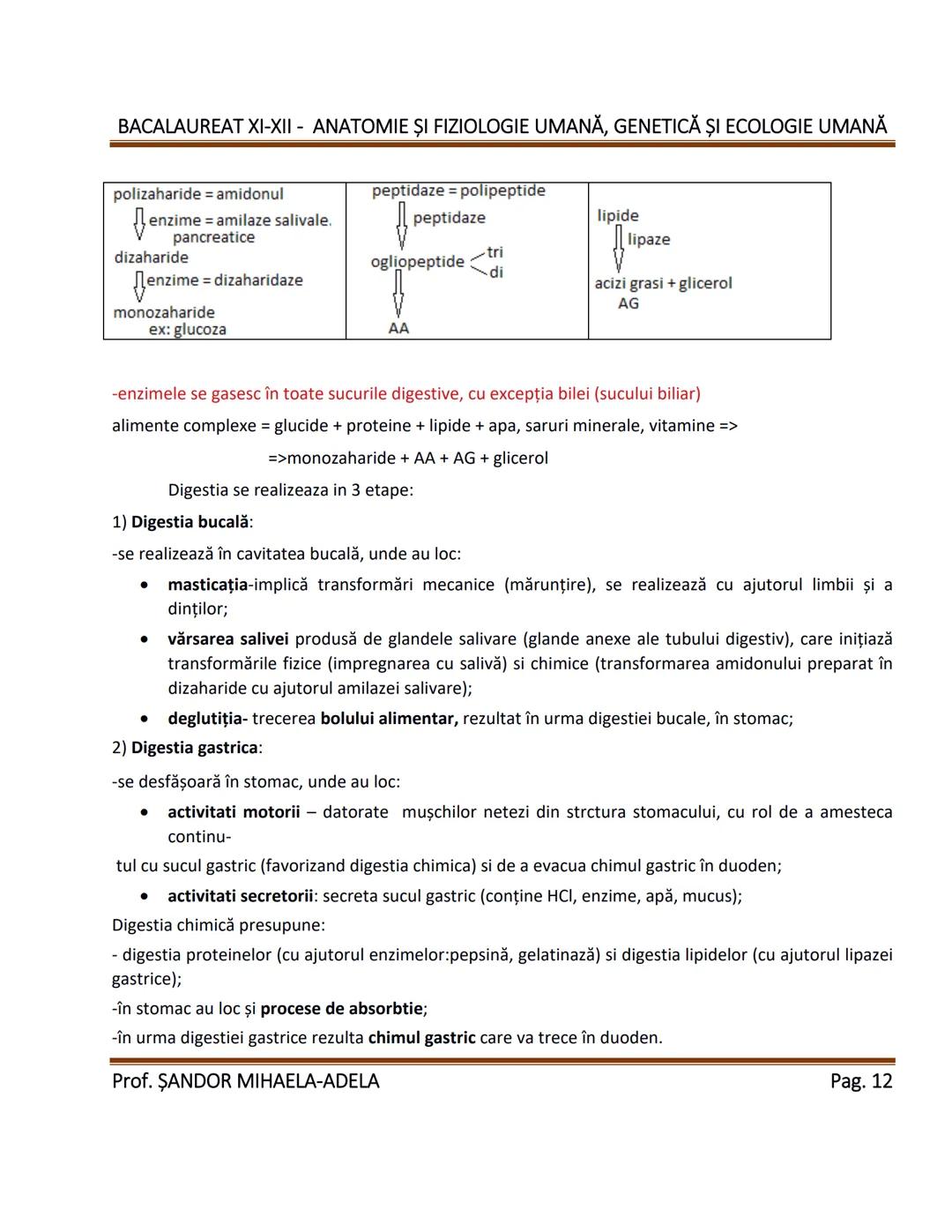 --- OCR Start ---
BACALAUREAT XI-XII - ANATOMIE ȘI FIZIOLOGIE UMANĂ, GENETICĂ ȘI ECOLOGIE UMANĂ
1. Alcătuirea corpului uman:
-topografia org
