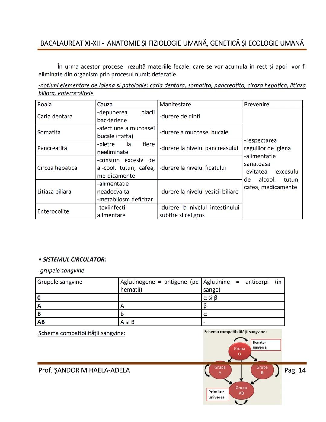 --- OCR Start ---
BACALAUREAT XI-XII - ANATOMIE ȘI FIZIOLOGIE UMANĂ, GENETICĂ ȘI ECOLOGIE UMANĂ
1. Alcătuirea corpului uman:
-topografia org