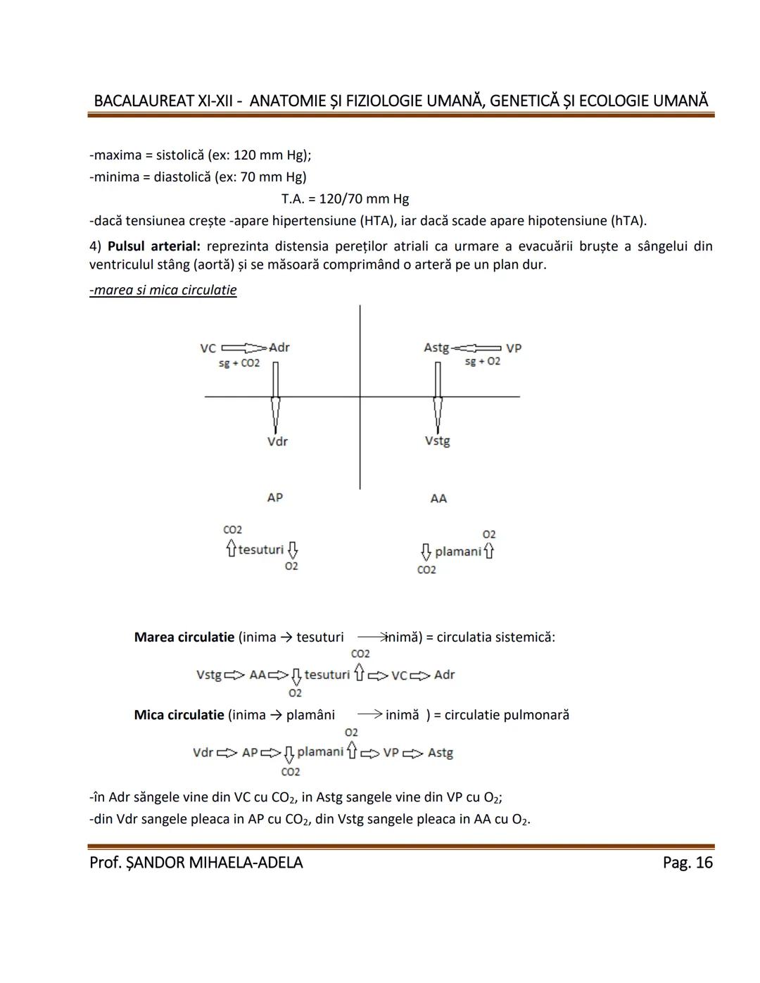 --- OCR Start ---
BACALAUREAT XI-XII - ANATOMIE ȘI FIZIOLOGIE UMANĂ, GENETICĂ ȘI ECOLOGIE UMANĂ
1. Alcătuirea corpului uman:
-topografia org