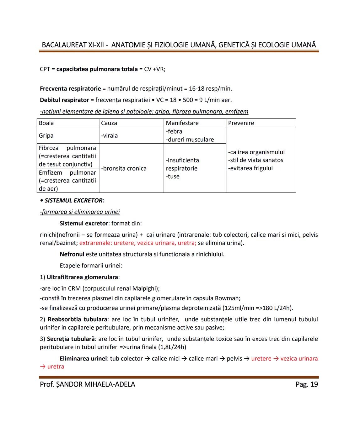 --- OCR Start ---
BACALAUREAT XI-XII - ANATOMIE ȘI FIZIOLOGIE UMANĂ, GENETICĂ ȘI ECOLOGIE UMANĂ
1. Alcătuirea corpului uman:
-topografia org
