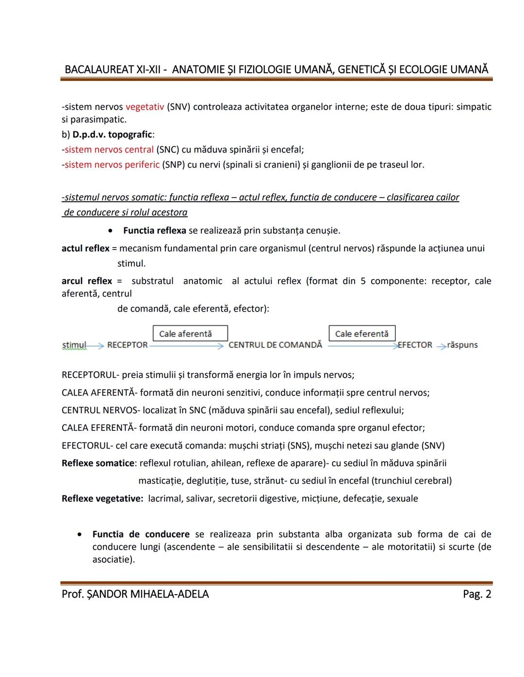 --- OCR Start ---
BACALAUREAT XI-XII - ANATOMIE ȘI FIZIOLOGIE UMANĂ, GENETICĂ ȘI ECOLOGIE UMANĂ
1. Alcătuirea corpului uman:
-topografia org