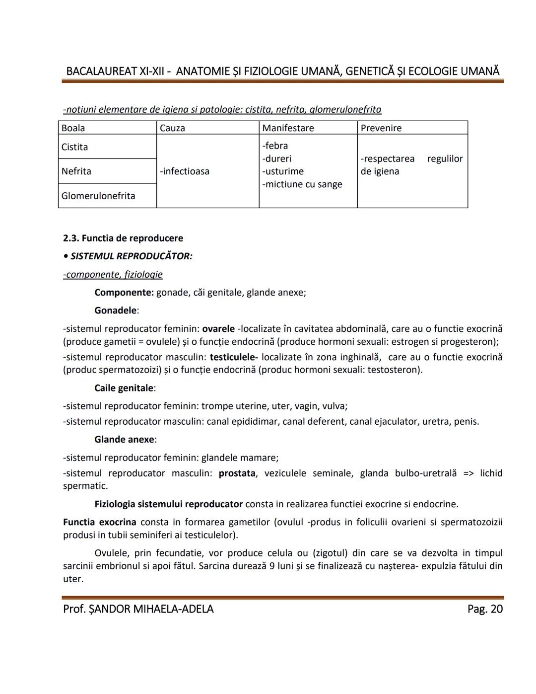 --- OCR Start ---
BACALAUREAT XI-XII - ANATOMIE ȘI FIZIOLOGIE UMANĂ, GENETICĂ ȘI ECOLOGIE UMANĂ
1. Alcătuirea corpului uman:
-topografia org