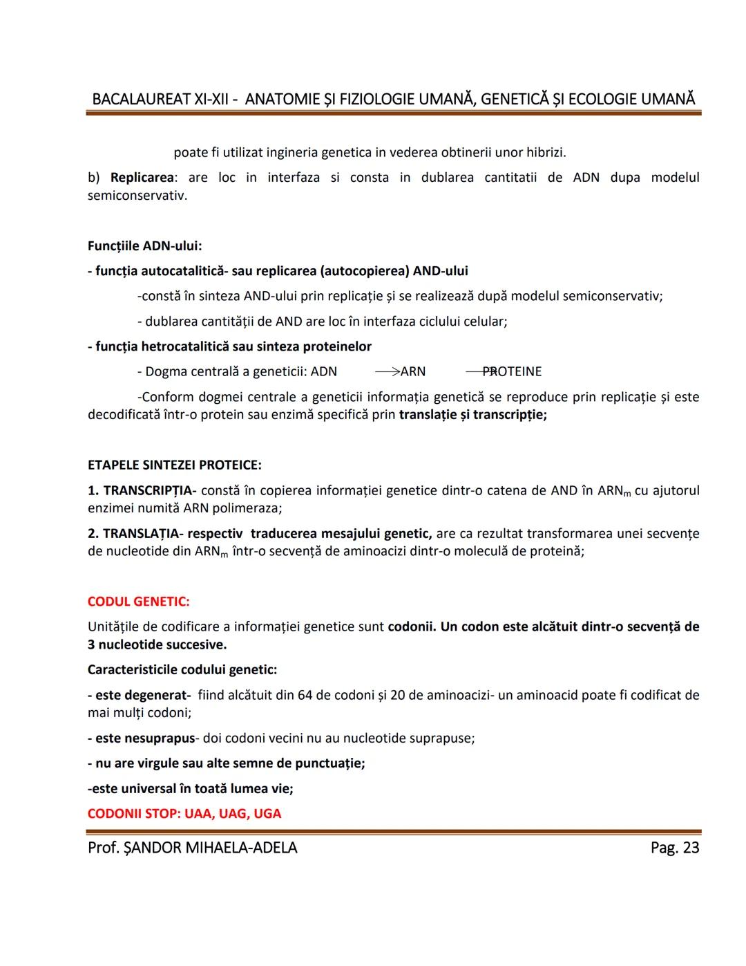 --- OCR Start ---
BACALAUREAT XI-XII - ANATOMIE ȘI FIZIOLOGIE UMANĂ, GENETICĂ ȘI ECOLOGIE UMANĂ
1. Alcătuirea corpului uman:
-topografia org