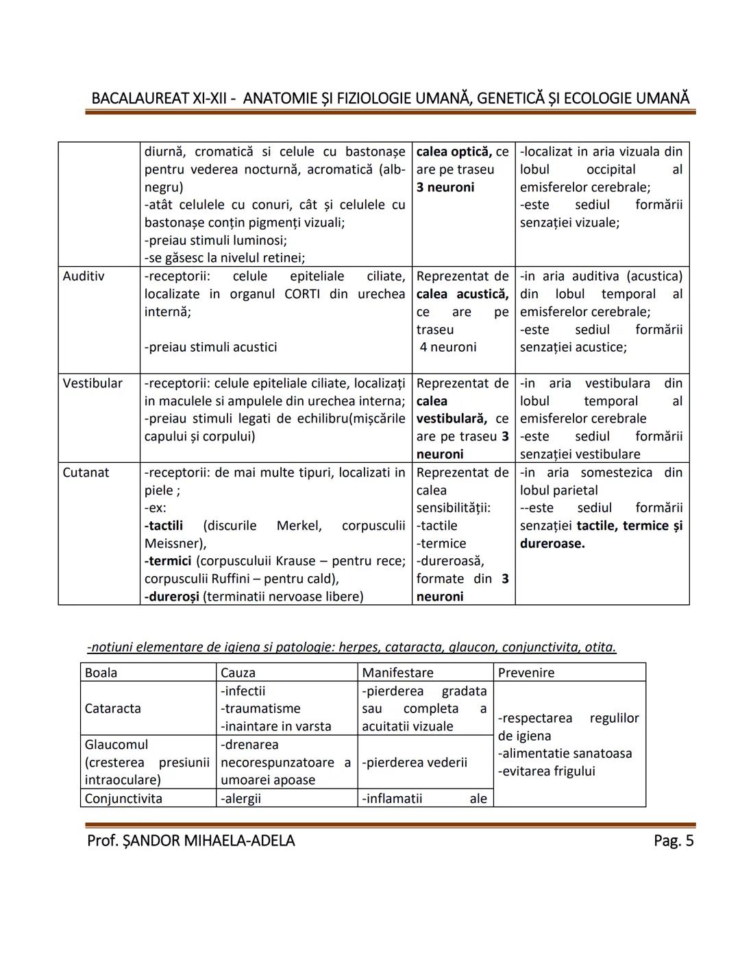 --- OCR Start ---
BACALAUREAT XI-XII - ANATOMIE ȘI FIZIOLOGIE UMANĂ, GENETICĂ ȘI ECOLOGIE UMANĂ
1. Alcătuirea corpului uman:
-topografia org