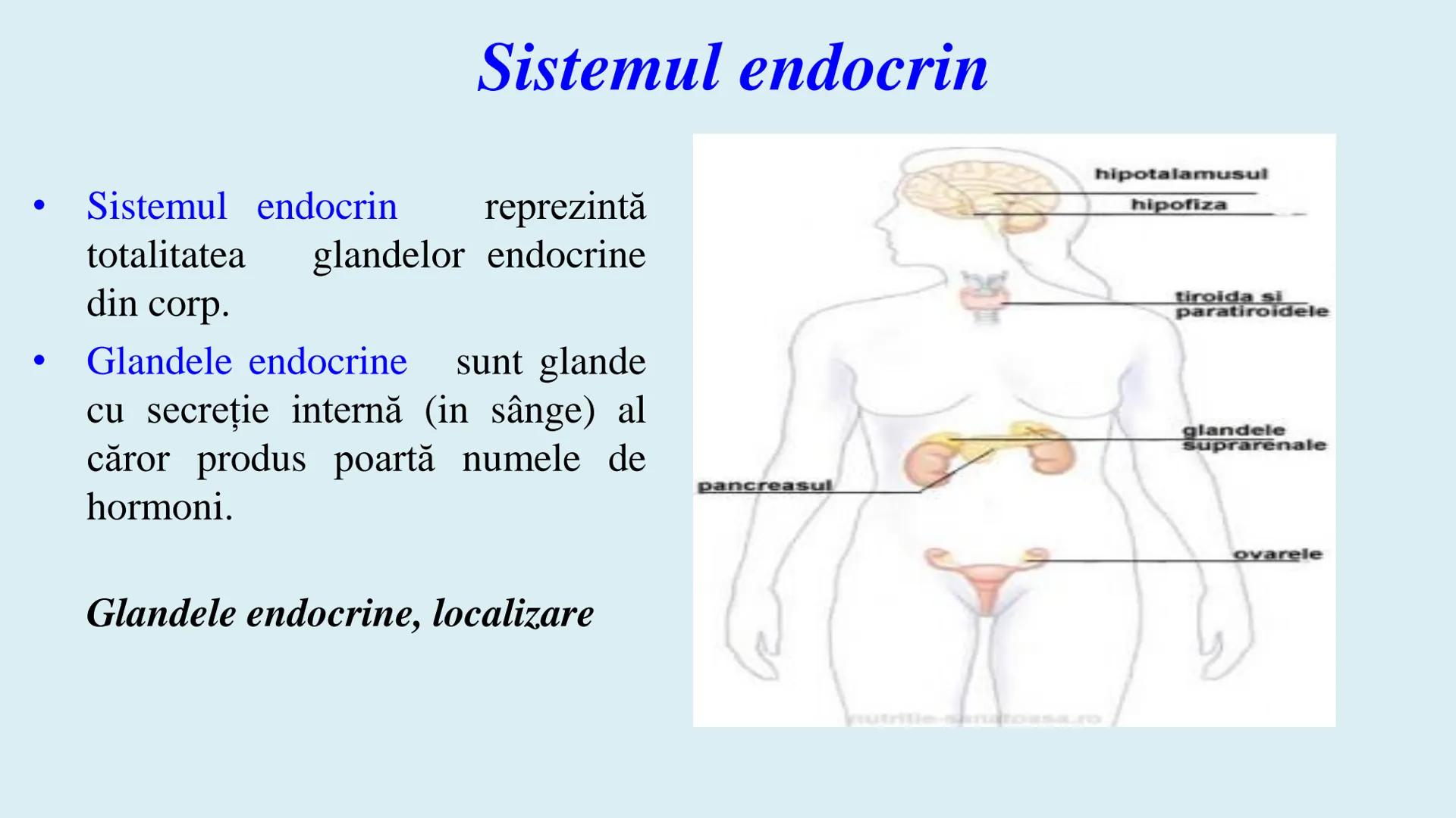 # BACALAUREAT
# ANATOMIE ŞI FIZIOLOGIE UMANĂ
# SISTEMUL ENDOCRIN •
Sistemul endocrin reprezintă
totalitatea glandelor endocrine
din corp.