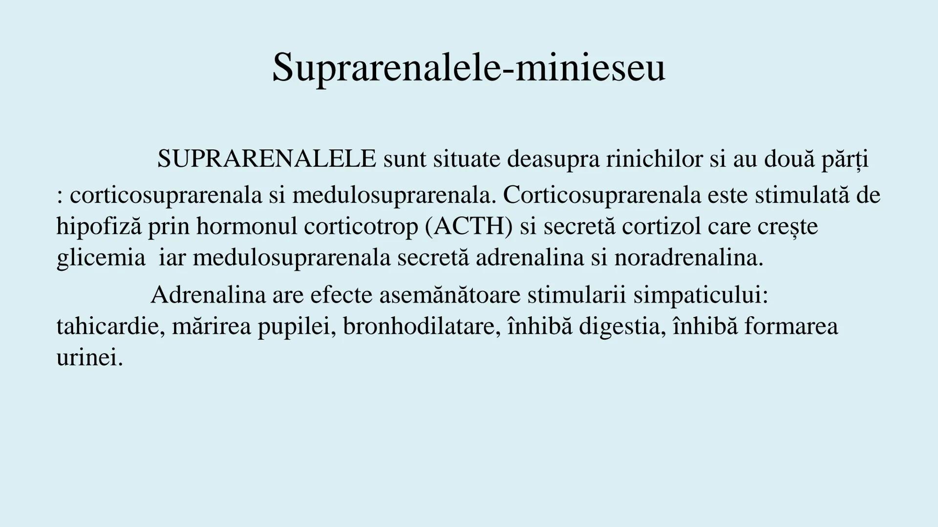 # BACALAUREAT
# ANATOMIE ŞI FIZIOLOGIE UMANĂ
# SISTEMUL ENDOCRIN •
Sistemul endocrin reprezintă
totalitatea glandelor endocrine
din corp.