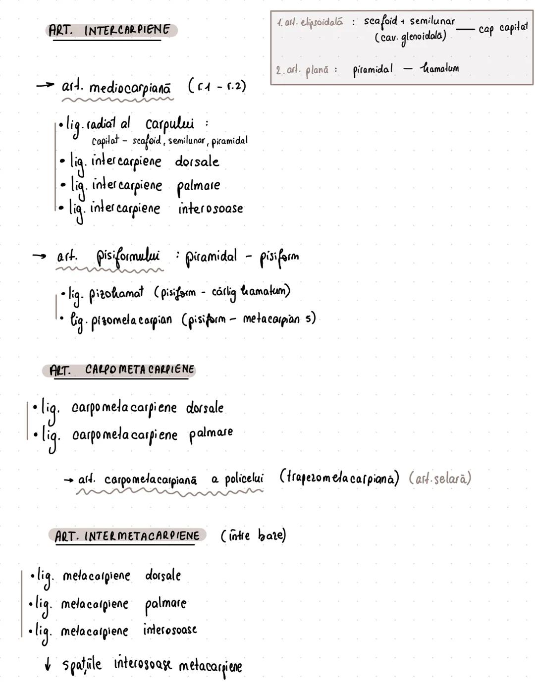 --- OCR Start ---
Membrul superior
pasiv (oasele)
aparat locomotor
activ (muşchii)
apartine de centura sau de ousaa?
Centura scapulara / pec