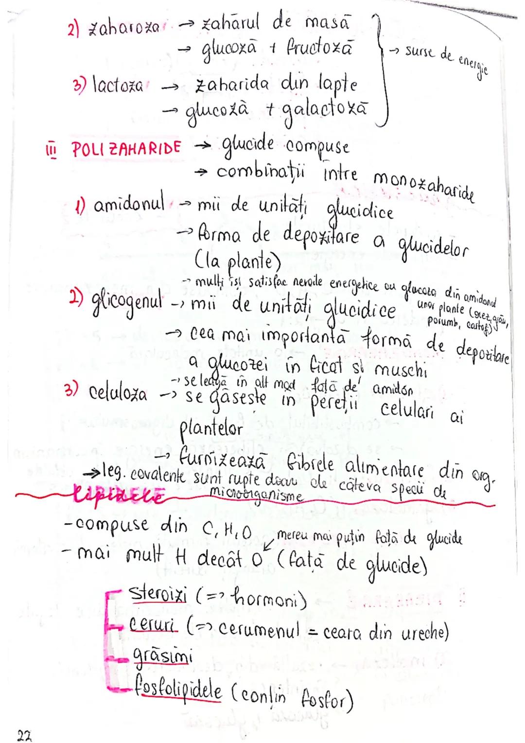 --- OCR Start ---
Z NUMAR ATOMIC = nr. de protoni dintr-un atom
A NUMAR DE MASA (MASA ATOMICA) = suma protonilor si neutronila
Atom de hidro