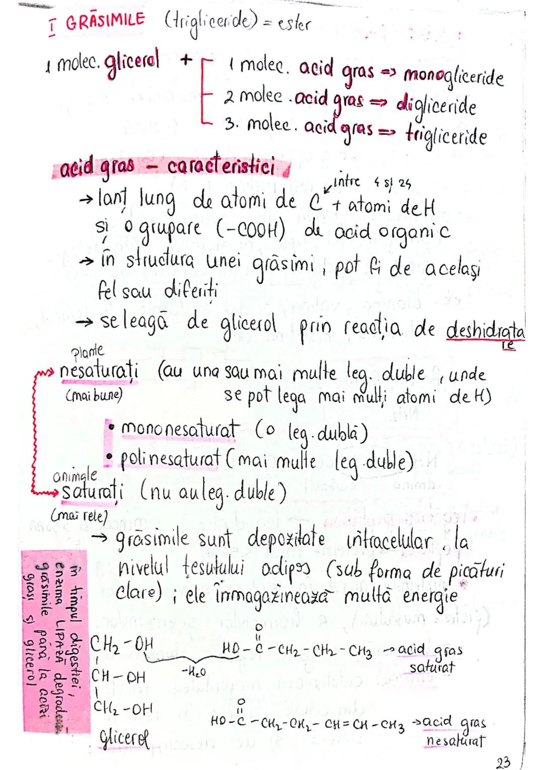 --- OCR Start ---
Z NUMAR ATOMIC = nr. de protoni dintr-un atom
A NUMAR DE MASA (MASA ATOMICA) = suma protonilor si neutronila
Atom de hidro