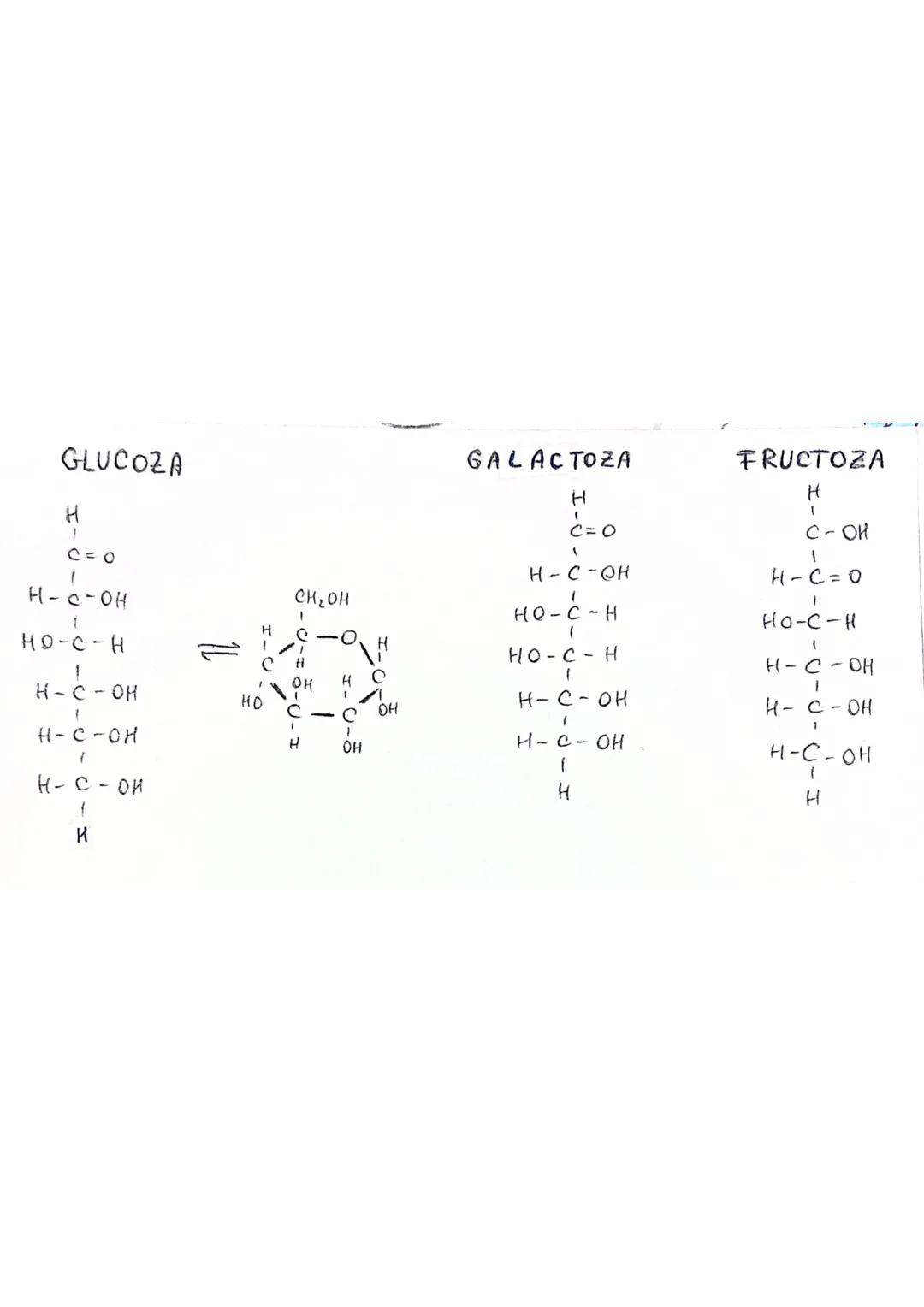 --- OCR Start ---
Z NUMAR ATOMIC = nr. de protoni dintr-un atom
A NUMAR DE MASA (MASA ATOMICA) = suma protonilor si neutronila
Atom de hidro