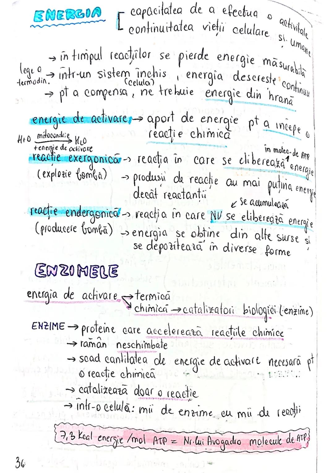 --- OCR Start ---
CELULA
EUCARIOTE
PROCARIOTE
- fără nucleu
- cu nucleu
- nu au organite celulare
- au organile celulare
- nu se divid prin