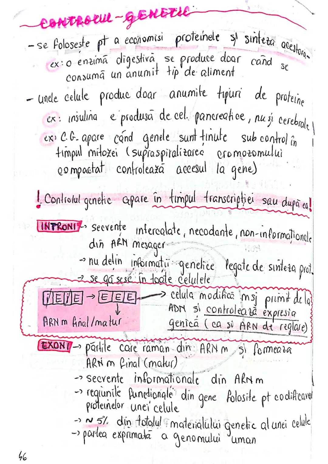 --- OCR Start ---
CELULA
EUCARIOTE
PROCARIOTE
- fără nucleu
- cu nucleu
- nu au organite celulare
- au organile celulare
- nu se divid prin