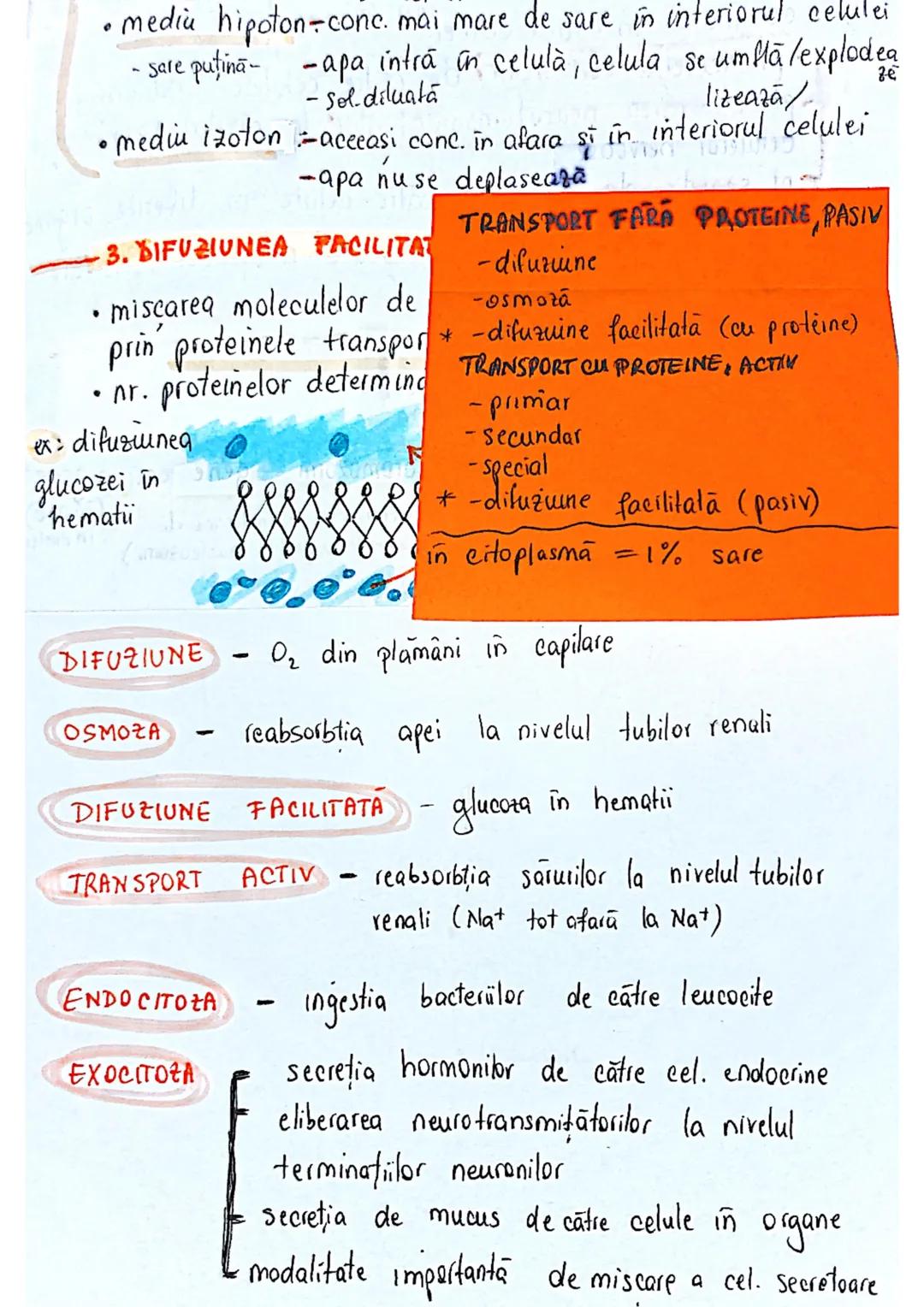 --- OCR Start ---
CELULA
EUCARIOTE
PROCARIOTE
- fără nucleu
- cu nucleu
- nu au organite celulare
- au organile celulare
- nu se divid prin