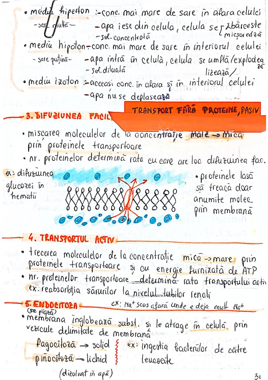 --- OCR Start ---
CELULA
EUCARIOTE
PROCARIOTE
- fără nucleu
- cu nucleu
- nu au organite celulare
- au organile celulare
- nu se divid prin