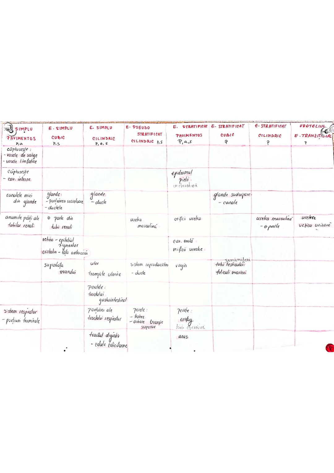 --- OCR Start ---
tesuturi
TESUTURILE sunt grupāri de celule cu:
caracteristici similare
Functii asemănătoare
4 tipuri fundamentale de tesut
