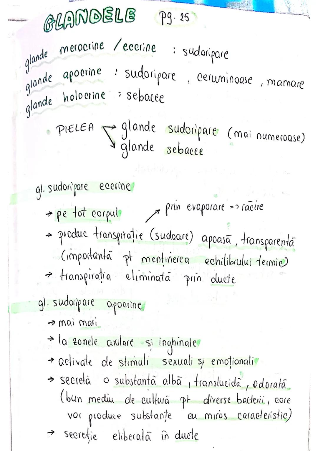--- OCR Start ---
tesuturi
TESUTURILE sunt grupāri de celule cu:
caracteristici similare
Functii asemănătoare
4 tipuri fundamentale de tesut