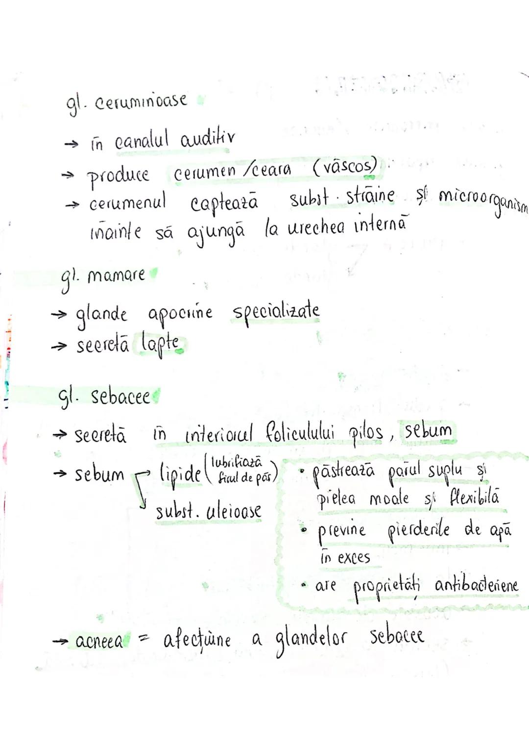 --- OCR Start ---
tesuturi
TESUTURILE sunt grupāri de celule cu:
caracteristici similare
Functii asemănătoare
4 tipuri fundamentale de tesut