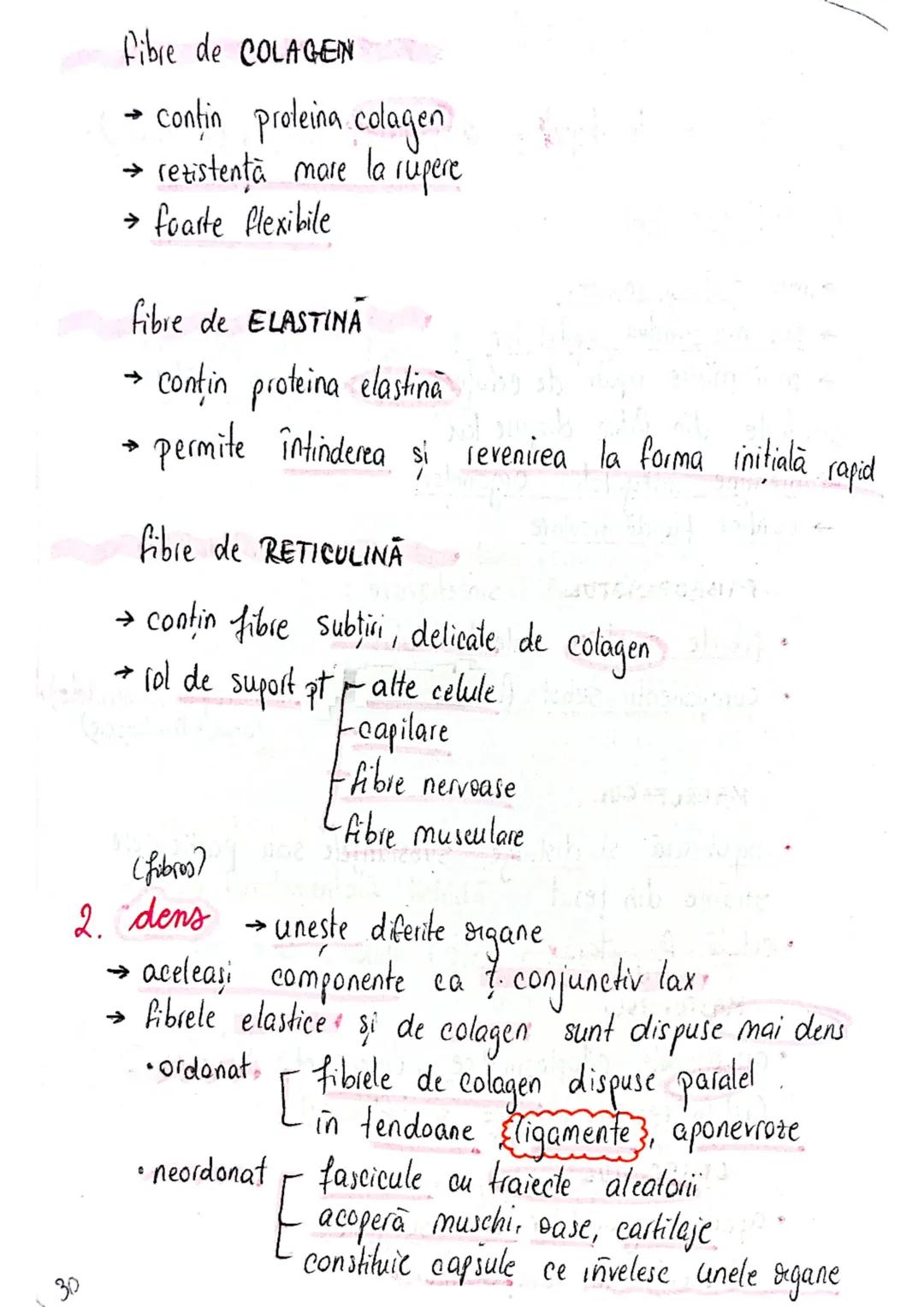 --- OCR Start ---
tesuturi
TESUTURILE sunt grupāri de celule cu:
caracteristici similare
Functii asemănătoare
4 tipuri fundamentale de tesut