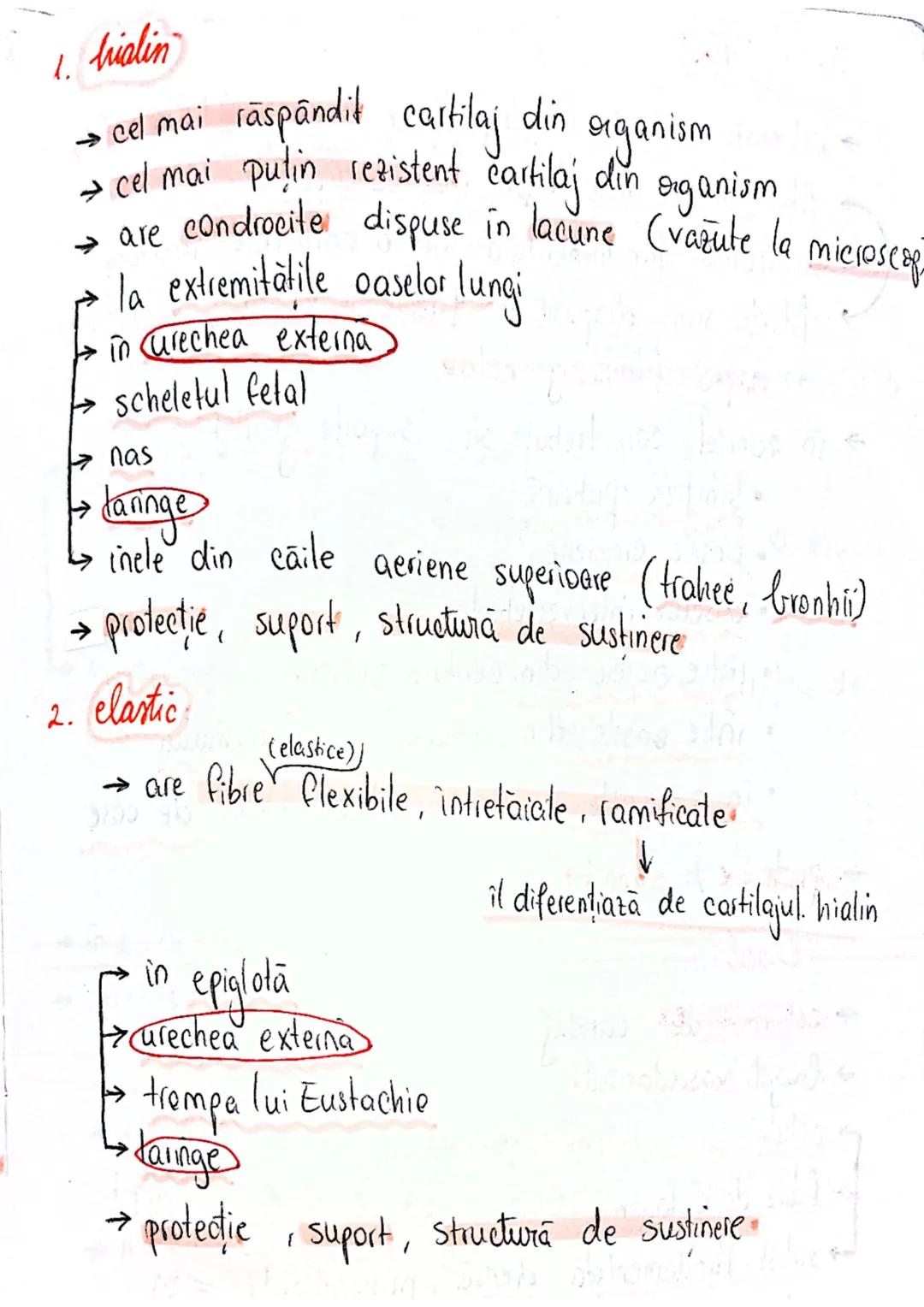 --- OCR Start ---
tesuturi
TESUTURILE sunt grupāri de celule cu:
caracteristici similare
Functii asemănătoare
4 tipuri fundamentale de tesut