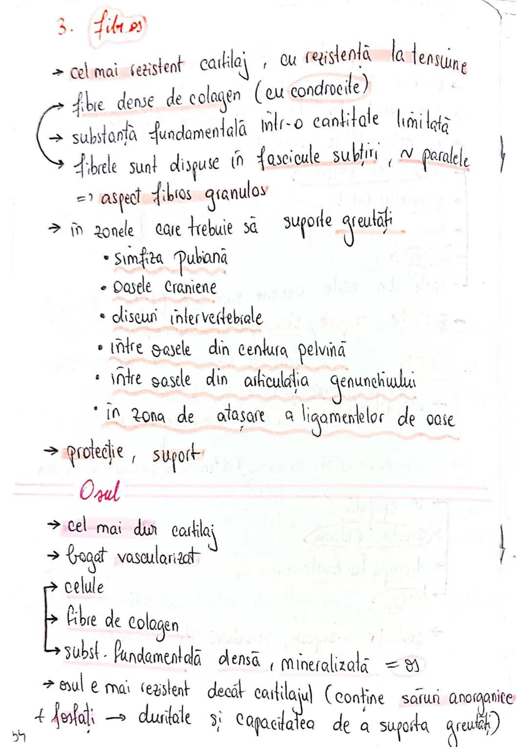 --- OCR Start ---
tesuturi
TESUTURILE sunt grupāri de celule cu:
caracteristici similare
Functii asemănătoare
4 tipuri fundamentale de tesut