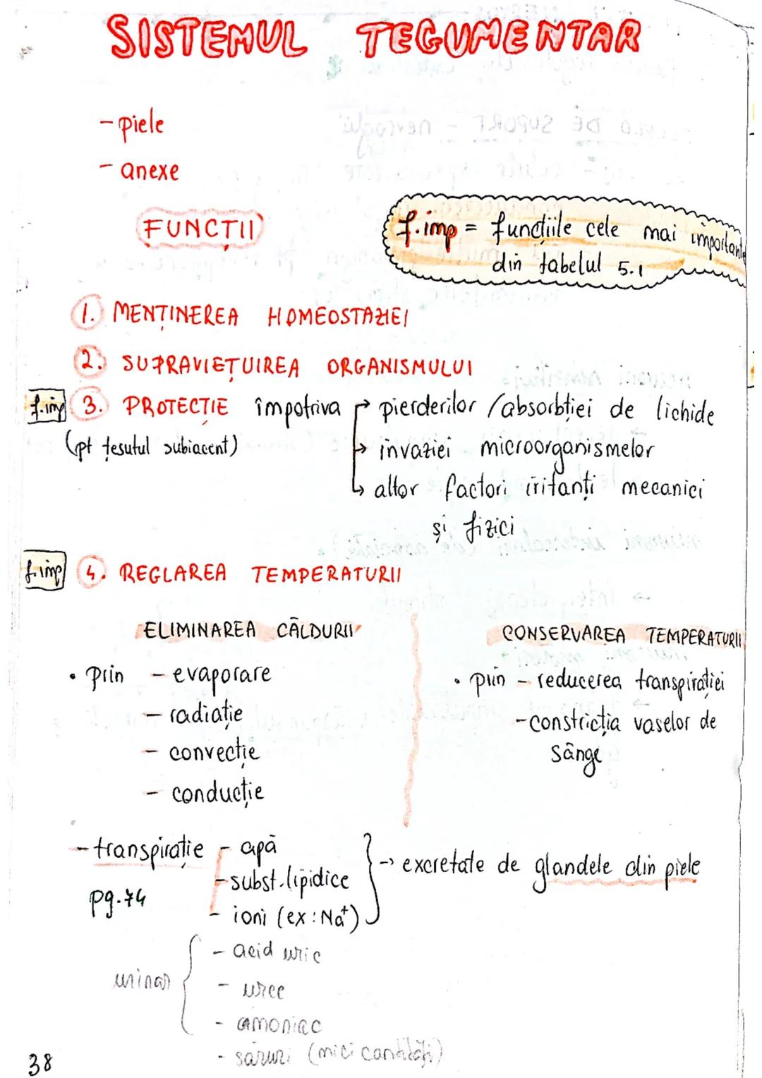 --- OCR Start ---
SISTEMUL TEGUMENTAR
- piele
Anexe
FUNCTII
1. MENTINEREA HOMEOSTAZIEI
f.imp = functiile cele mai impoiland
din tabelul 5.1