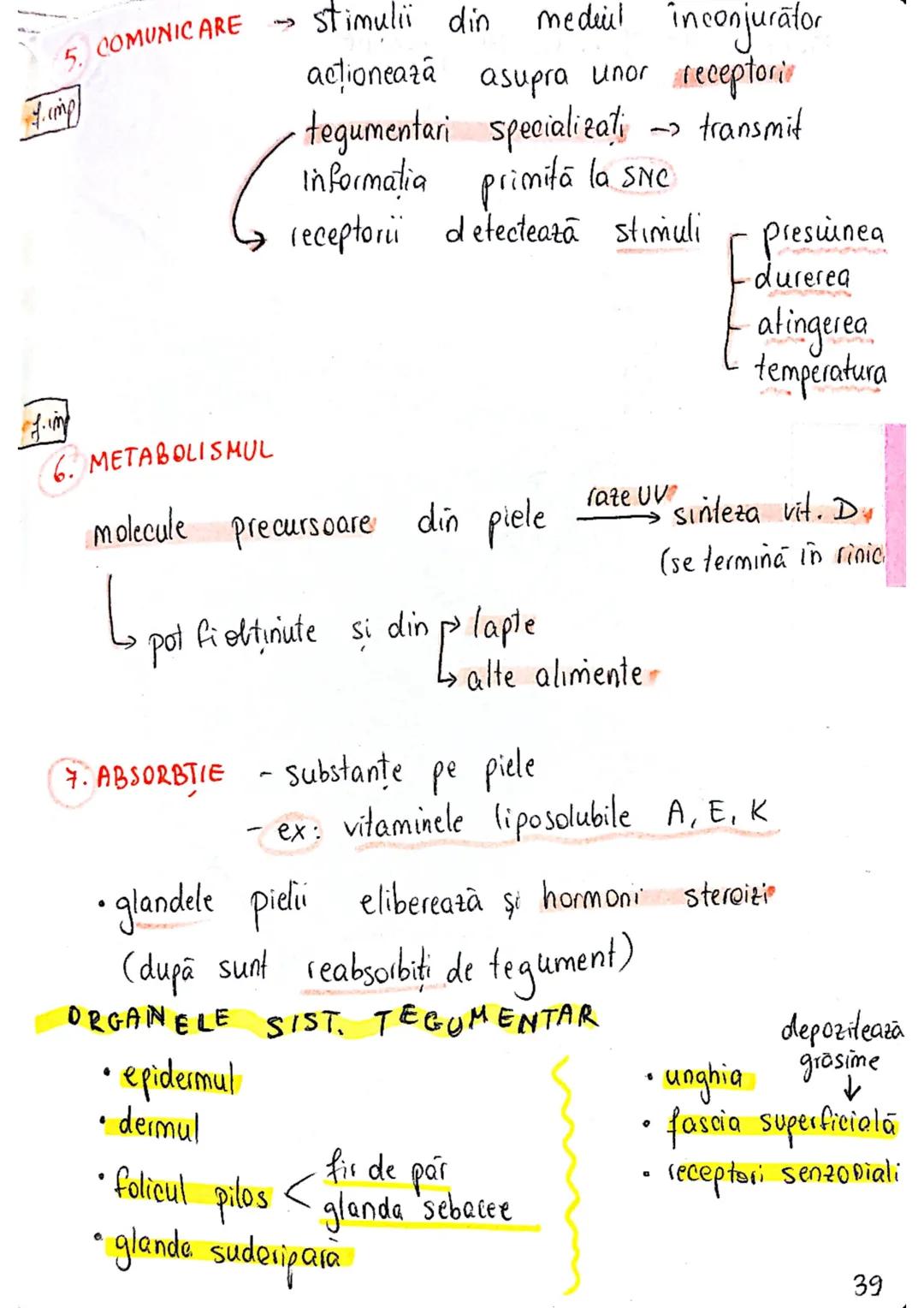 --- OCR Start ---
SISTEMUL TEGUMENTAR
- piele
Anexe
FUNCTII
1. MENTINEREA HOMEOSTAZIEI
f.imp = functiile cele mai impoiland
din tabelul 5.1