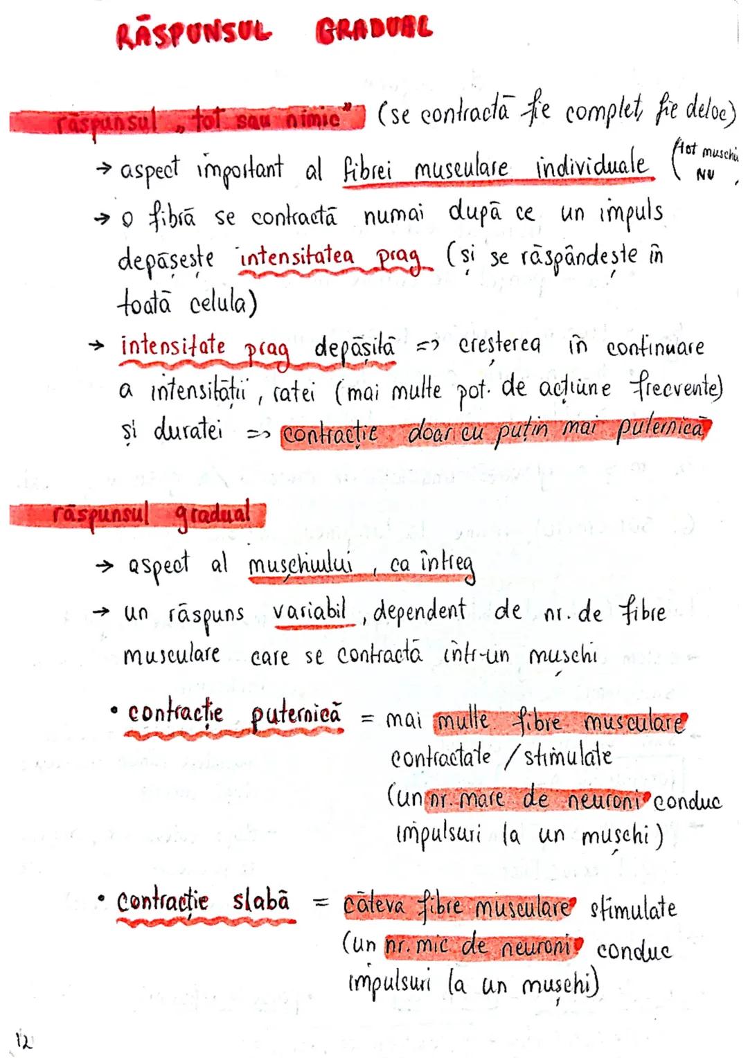 # TESUTUL MUSCULAR
→ se contracta
→ efectuează lucru mecanic
Celula = fibra musculară → zeci / sute de celule fuzionate
(unitatea struct