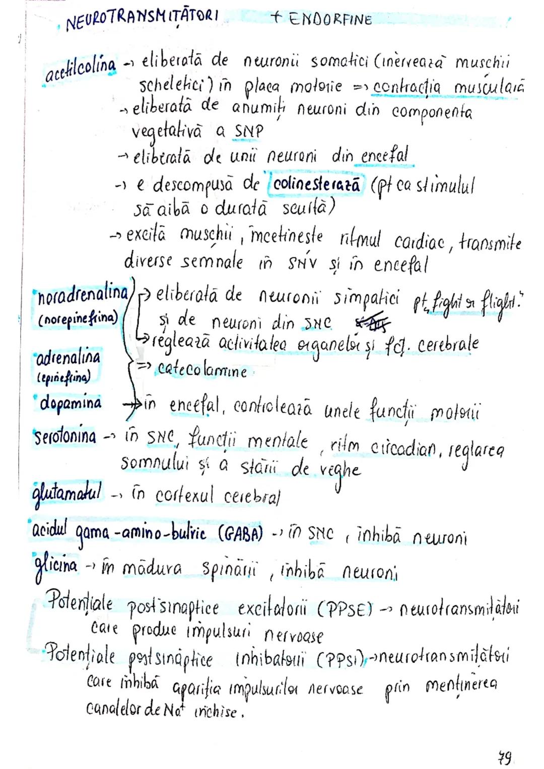 --- OCR Start ---
ROL
TESUTUL
NERVOS (ca mine)
→ coordonează procesele complexe din...
mediul intern
→ integrează organismul in mediul exter